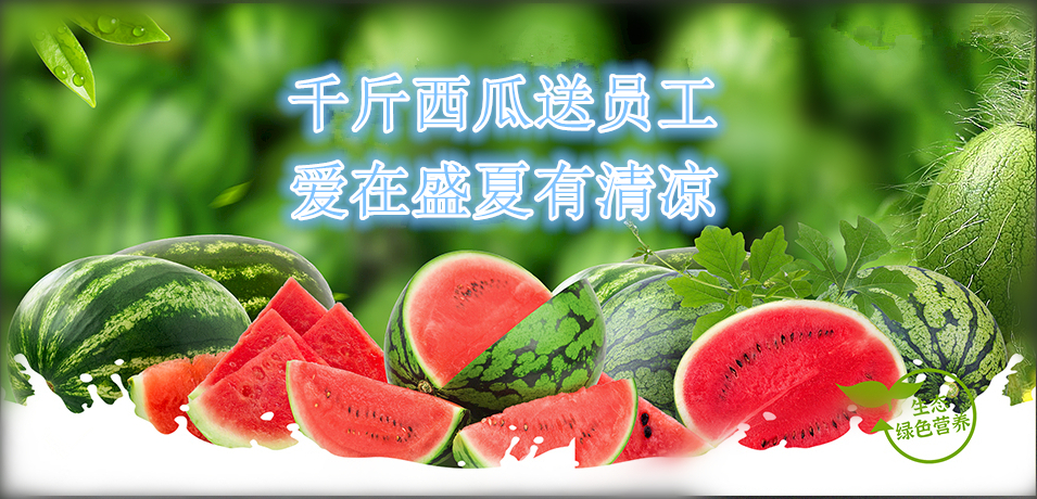 通達(dá)軟件公司： 千斤西瓜送員工，愛(ài)在盛夏有清涼